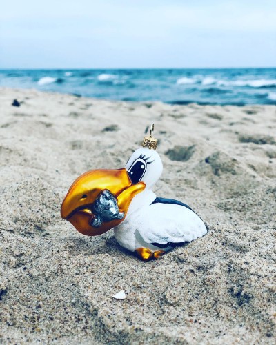 83611991_1162225770652698_8185067970834202624_o