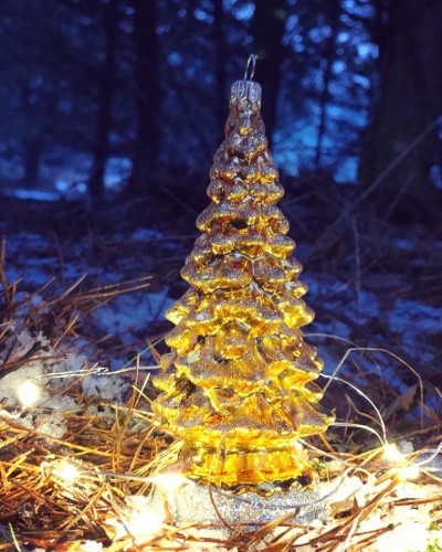 50620537_906715236203754_2174176229794512896_o