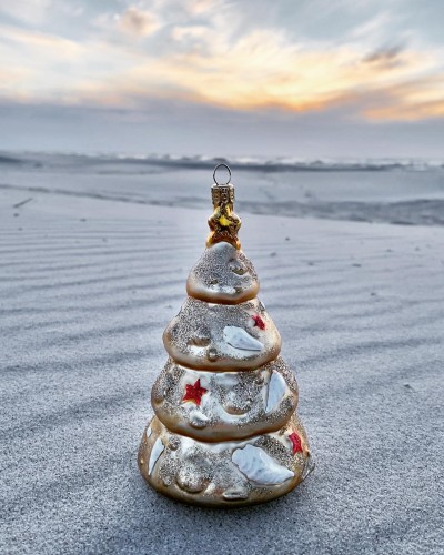 113595057_1292796367595637_655999710729264124_o