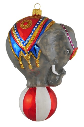 146103452_1446531822222090_4189114480689690513_o