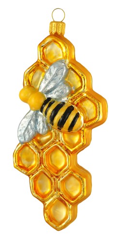 146247204_1448215298720409_676154602652912437_o