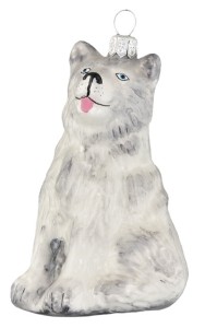 Pies Husky